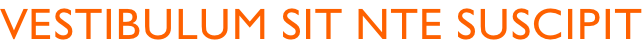 Vestibulum sit nte suscipit